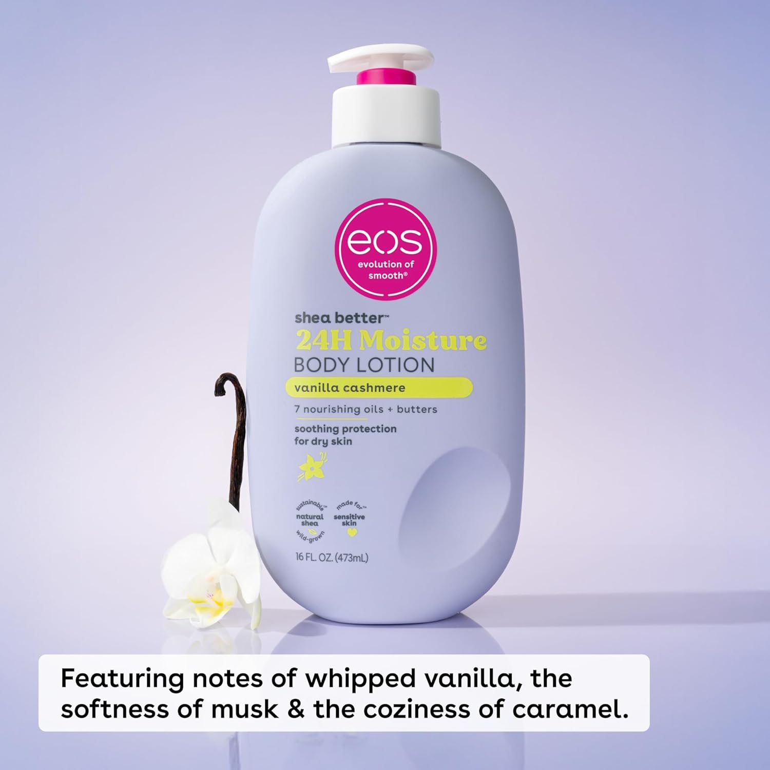 Fragrance and Sensory Experience