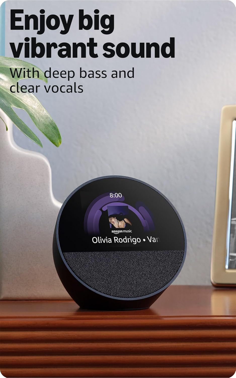 Echo Spot