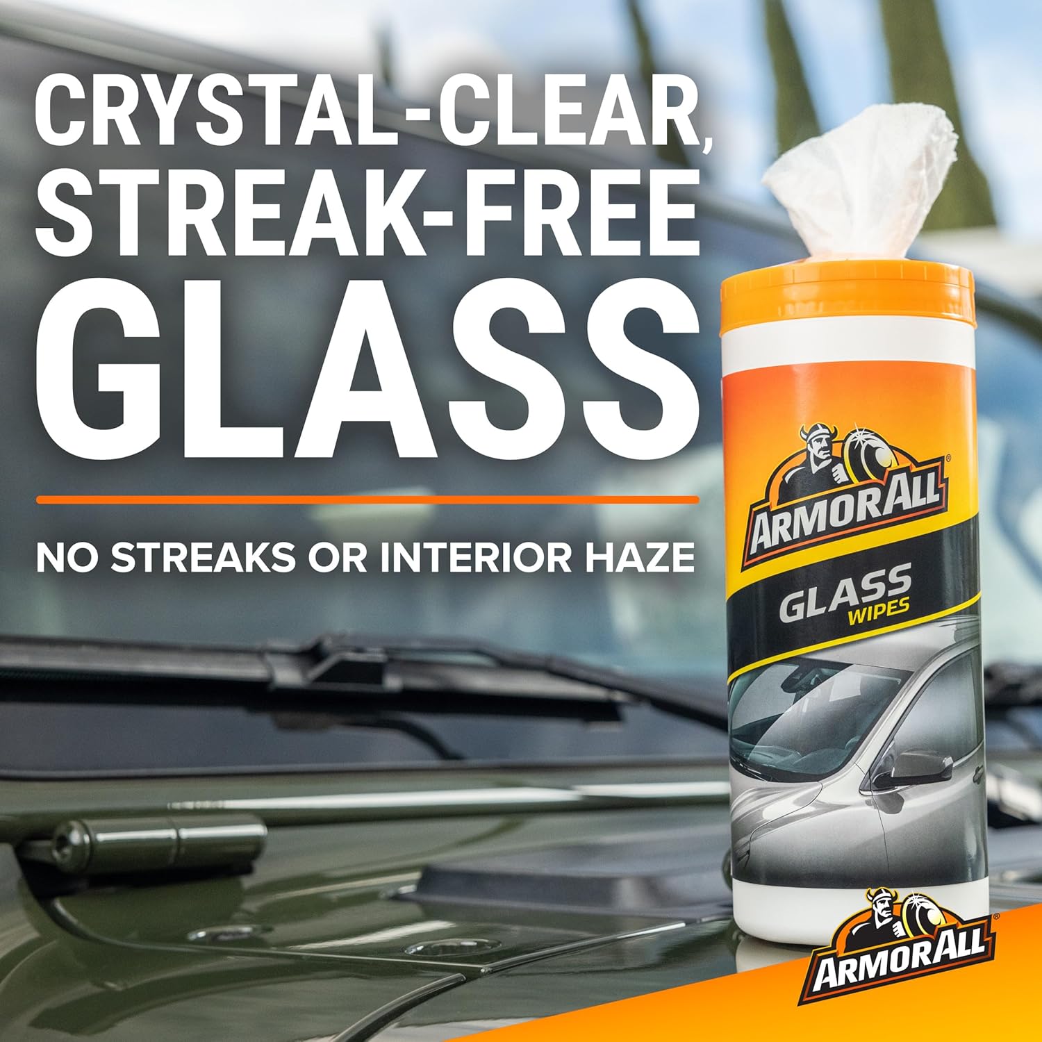 Cleaning and Protecting Solution