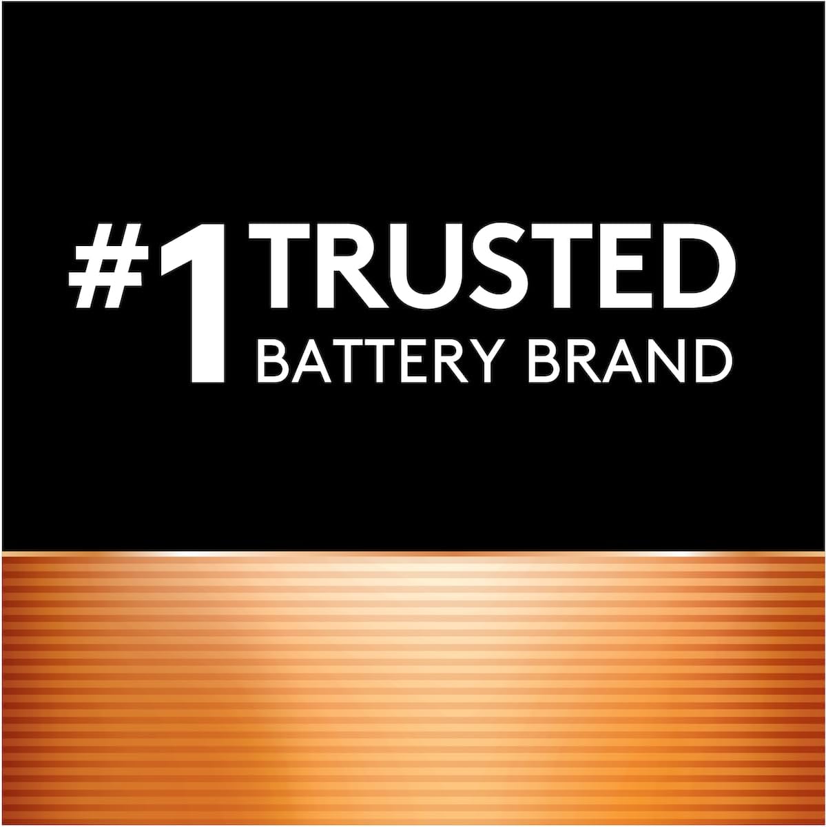 Duracell Coppertop AA Batteries pros and trade-offs image