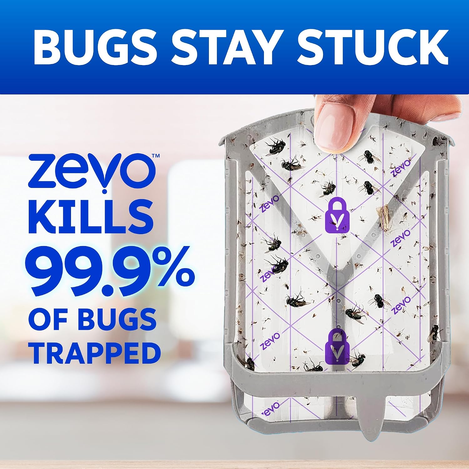 Zevo Flying Insect Trap Refill Cartridges for Fruit Flies & Gnats, 4 Count — Who This Product Is For
